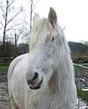 Herzchen-Zunge! <3