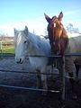 Wir genie�en die Wintersonne